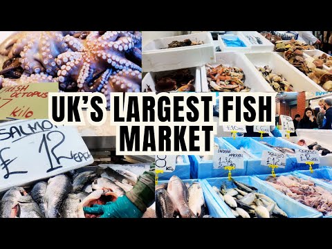 London Walk | Exploring UK's Largest Fish Market | Billingsgate 2024! | Must Watch!