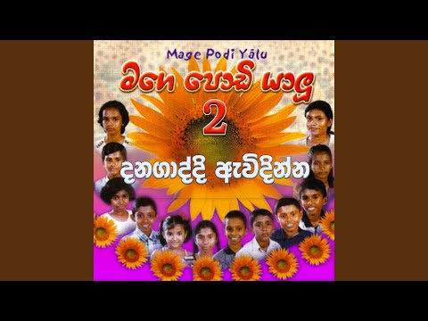 Dana Gaddi Avidinnata