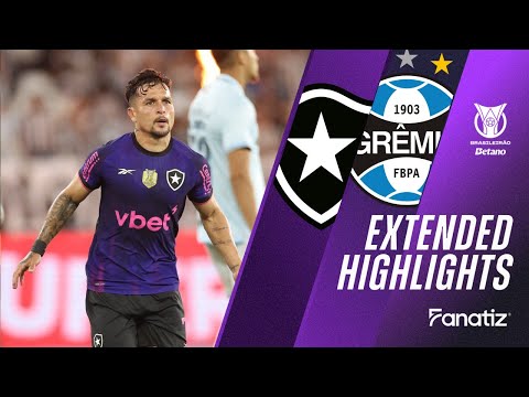 Botafogo vs Gremio 3-2 | Game Highlights | #Brasileirao2025