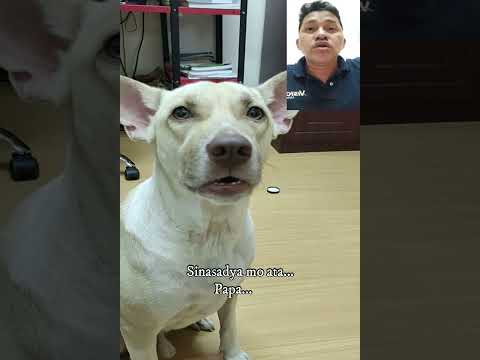 SCANDAL NI THEO😅😂🤣