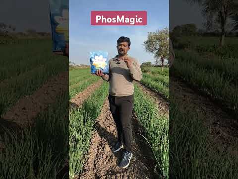 PhosMagic N:P:K:05:44:14:MgO-2 S-2 Zn-1 B-0.5 #farming #agriculture