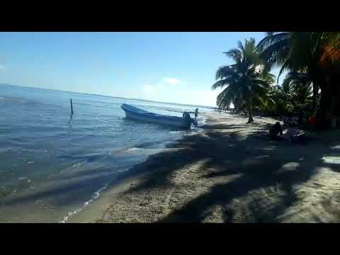 Punta de Palma enero 2020