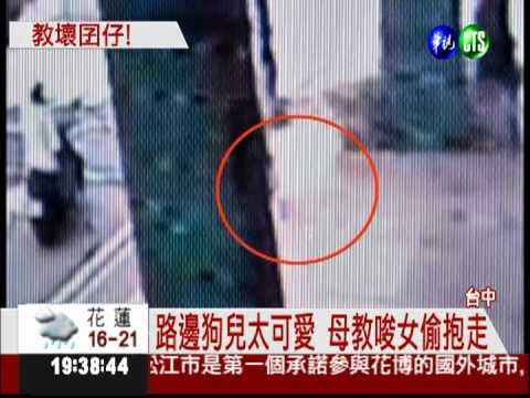 教壞囝仔! 母教唆幼女偷狗