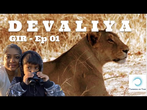 Devaliya - Gir Interpretation Zone - A complete experience #gir #devaliya #girnationalpark
