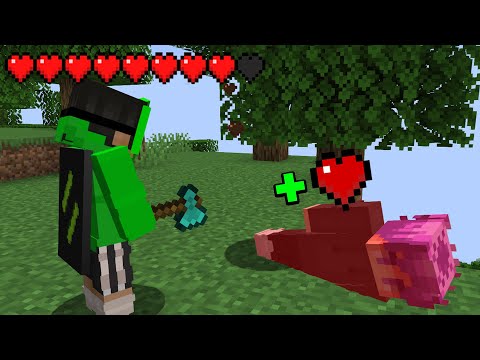 On this SMP SERVER you can STEAL GAMERS' HEARTS!