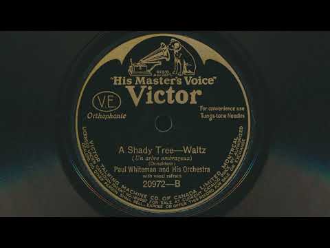 1927 PAUL WHITEMAN A Shady Tree BIG BAND JAZZ - 78 RPM Record