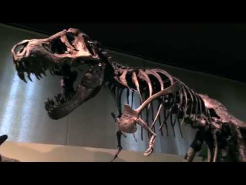 The Big Mouth Dinosaur in Milan - la grande bocca del dinosauro a Milano - Short Moments