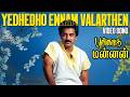 Yedhedho Ennam Valarthen Full Video Song Punnagai Mannan Kamal KS Chithra Ilaiyaraaja Hits