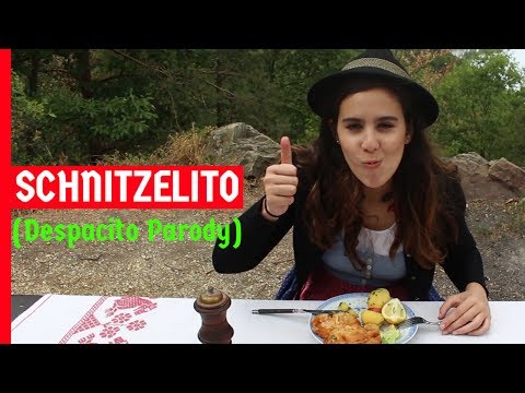 SCHNITZELITO (Despacito Parody) - Music Paella