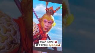 【中国】 テレビつけたら出てきたw #vlog #西遊記 #中国 #中国生活 #孫悟空 #猿 #猿すぎ #日中 #上海 #中国旅行 #リアル中国
