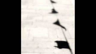 Rachel Grimes: Bloodroot (for solo piano)