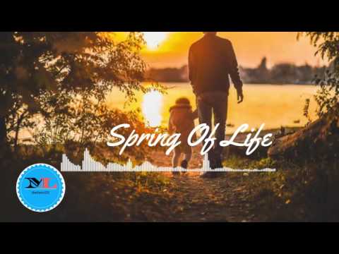Spring Of Life  By Tomas Skyldeberg [Electro Music]