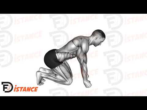 Roulement de poing à genoux - Exercice Roulement de poing à genoux en vidéo Roulement de poing à genoux - Exercice Roulement de poing à genoux en vidéo