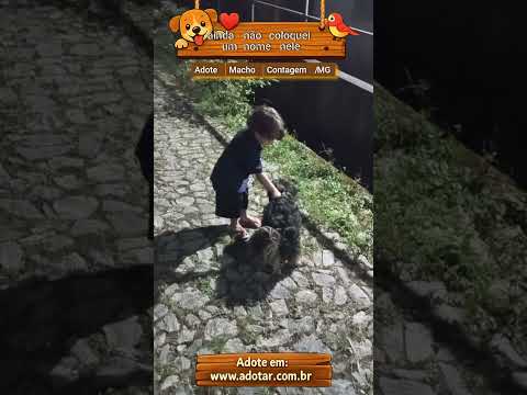 Vídeo de ainda não coloquei um nome nele
