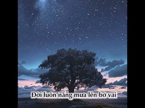 Vui đời phiêu lãng - Thái Hoà
