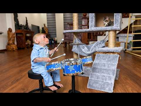 Bibi and His Kitten’s Incredibly Adorable Reaction to a Fan’s Special Gift