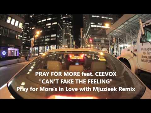 Pray for More feat  Ceevox - Can't Fake The Feeling (Pray for More Remix)