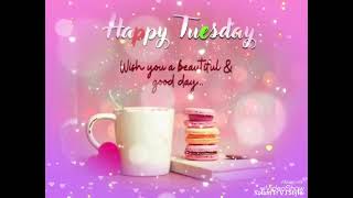 Happy Tuesday Gif Animated Image | Tuesday WhatsApp Status with Music 🎶 | Good Morning | #tuesday