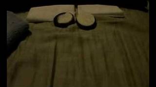 Andrew W.K.-Wanna make sex video with oreo's