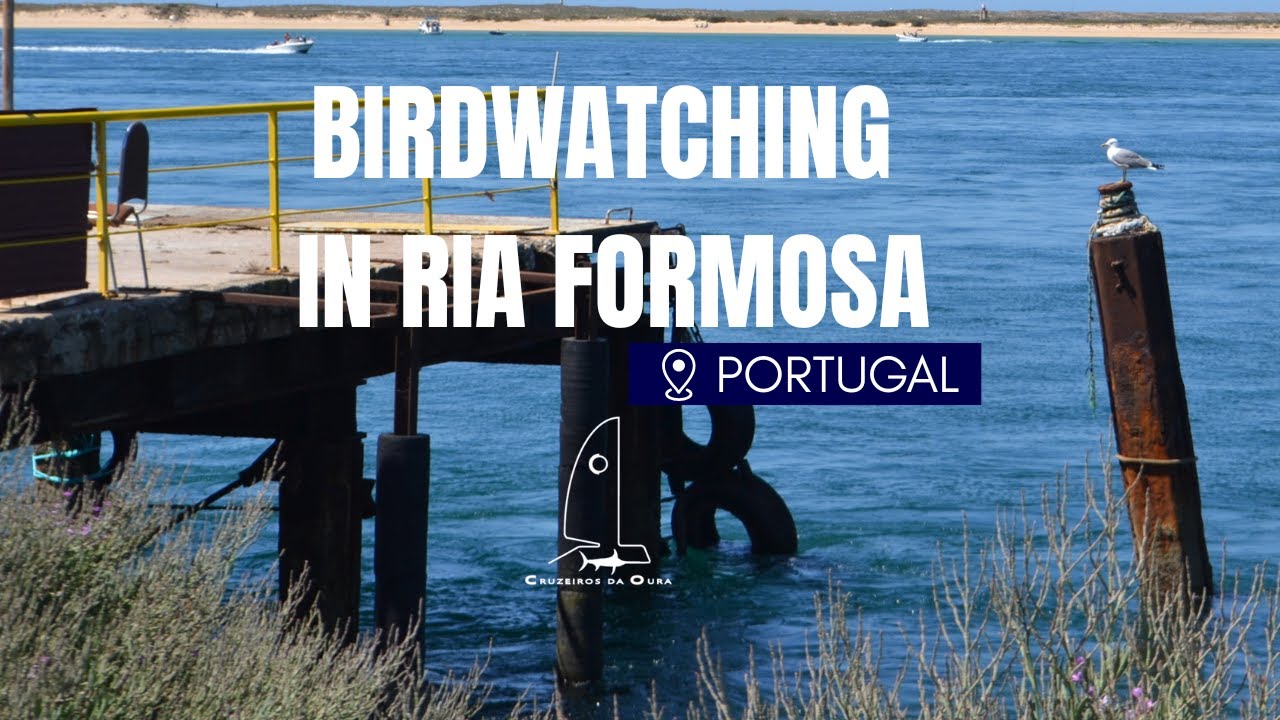 Watch flamingos and waders at Ria Formosa islands.