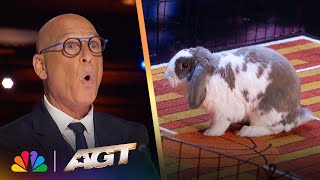 Bini The Bunny Performs Basketball Stunts | AGT thumbnail