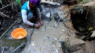 Download lagu DIBAWAH BATU KERAMAT JADI SARANG IKAN || TRADISIONAL MENCARI IKAN mp3 Download lagu DIBAWAH BATU KERAMAT JADI SARANG IKAN || TRADISIONAL MENCARI IKAN mp3
