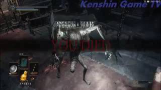 【Dark souls3】I want to be Ninja