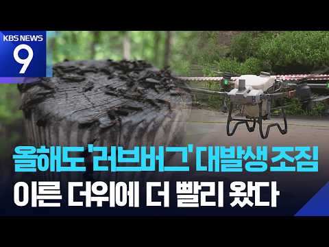 물 뿌리는 드론으로 러브버그 잡는다!