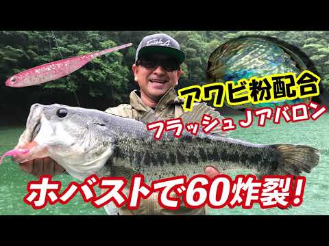 Fish Arrow Flash-J Abalone 7.6cm #AB01 Live Ayu Abalone