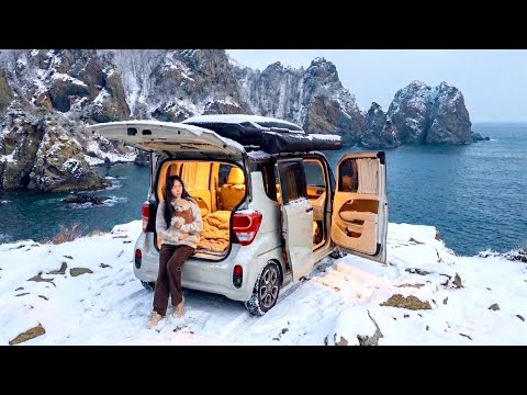 ❄️Ein Campingausflug mit Hund in einem Kleinwagen auf Ulleungdo, einer verschneiten Insel🚗