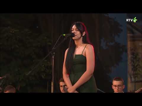 NAPIŠEM CI PISEMKO - Danica PLAVŠIČ