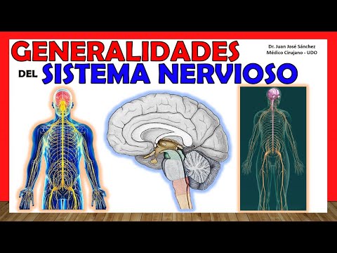 🥇 NERVOUS SYSTEM in 14 minutes!!!. Generalities - Simple Explanation!