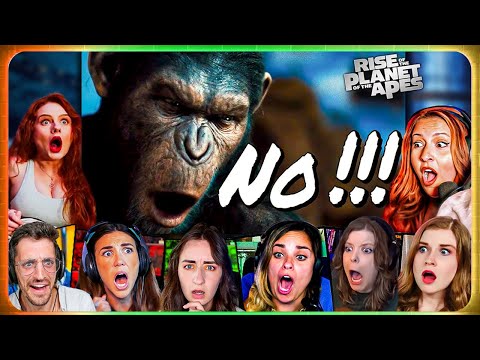 TOP "Caesar Says No" Reactions! Rise of the Planet of the Apes (2011) Movie Reaction