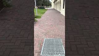 2025年シドニーのボンダイビーチ乱射テロ事件から12日目。12 days after the Bondi Beach Terror Attack. 雪梨邦代海灘恐怖射殺事件後12天。