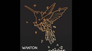 Wanton - Onderweg video