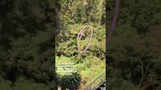 Download lagu Kuntilanak asli pinggir jalan #penampakan #kuntilanak #shorts mp3