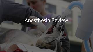 Anesthesia Review for the VTNE