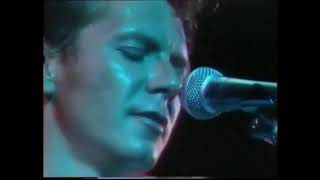 ICEHOUSE -   paradise