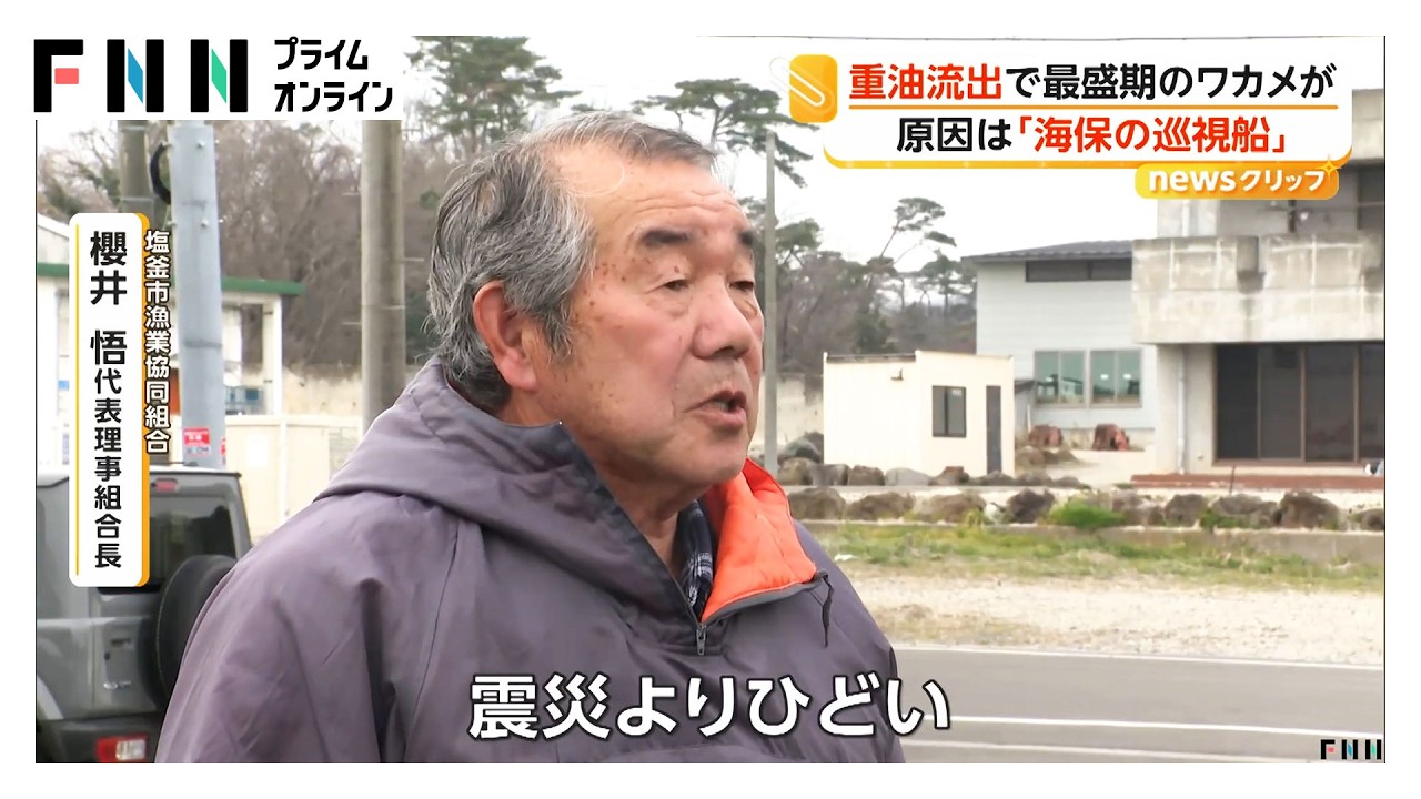 収穫最盛期にワカメ・コンブ廃棄　海保巡視船から重油流出（2026年03月31日）