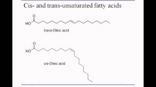 3 2A unsaturated FAs