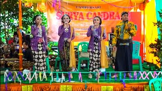 Download lagu Surya Candra Campursari - Pambuko - Kitty Sound - Njelok Sukowidi Panekan mp3 Download lagu Surya Candra Campursari - Pambuko - Kitty Sound - Njelok Sukowidi Panekan mp3