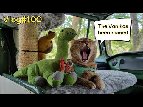 The NAME of our VAN 😻🚌Vlog #100