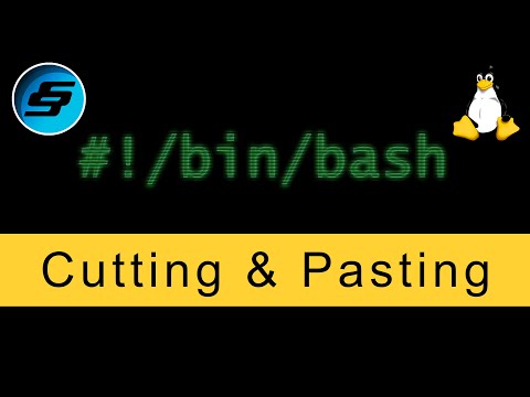 Cutting and Pasting Bash Scripting