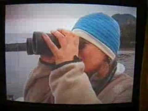 Grizzly Bear Tours - as seen on TV !