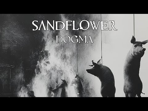 video frame placeholder