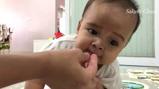 Download lagu Cuma video Bayi Lucu makan Rumput Laut | Baby Sakura Chan mp3 Download lagu Cuma video Bayi Lucu makan Rumput Laut | Baby Sakura Chan mp3