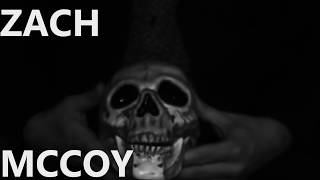 Zach Mccoy The low / Good Weird Love