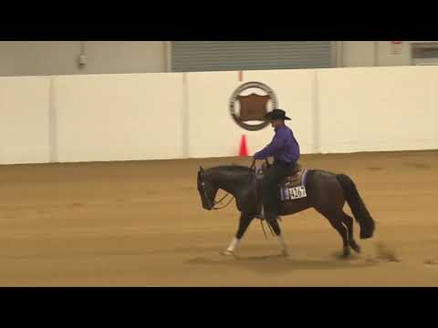 181004 Green Reining Justin Street on Whiz Smart Yankee