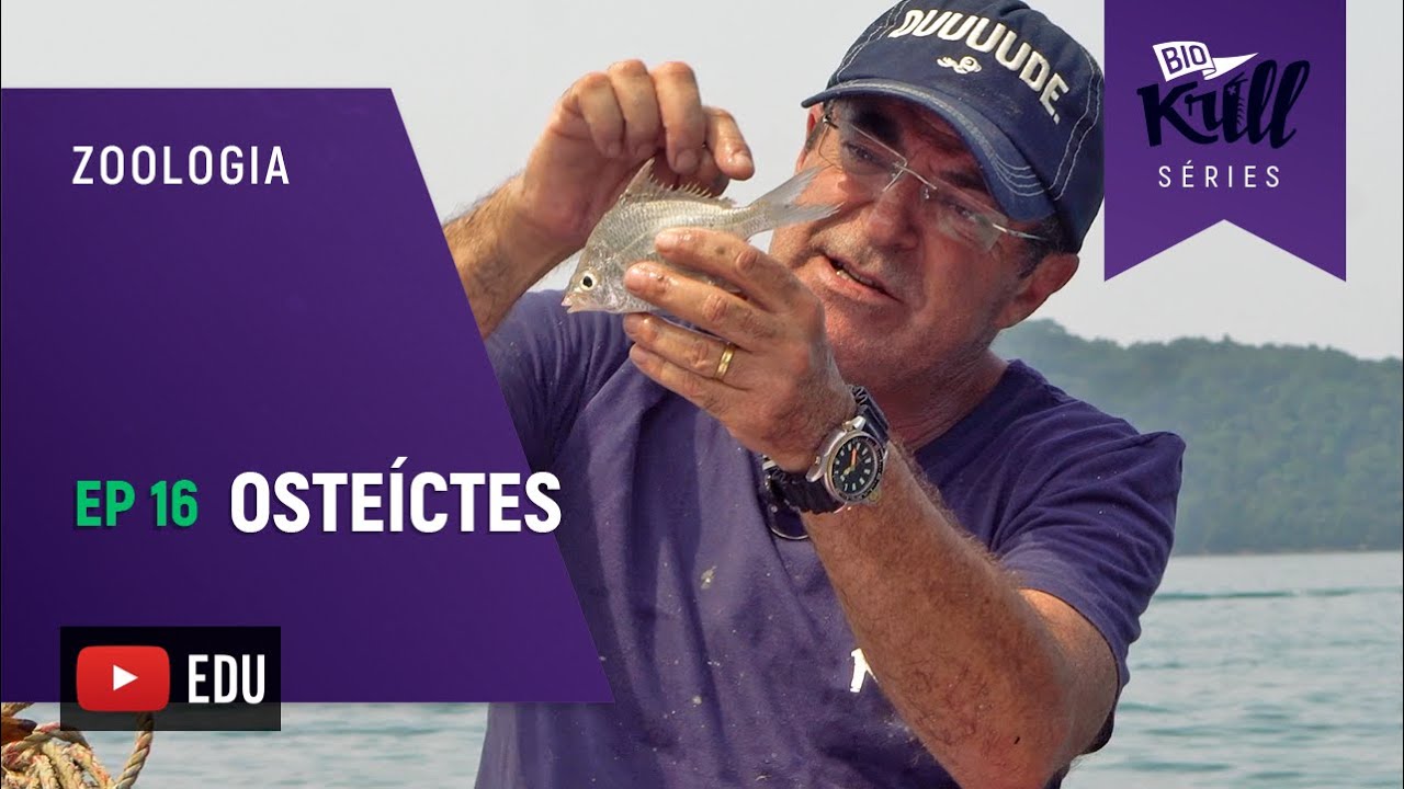 Peixes Ósseos (Zoologia - EP16) I Biokrill Séries