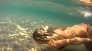 Flume - Sleepless (Unofficial Video)